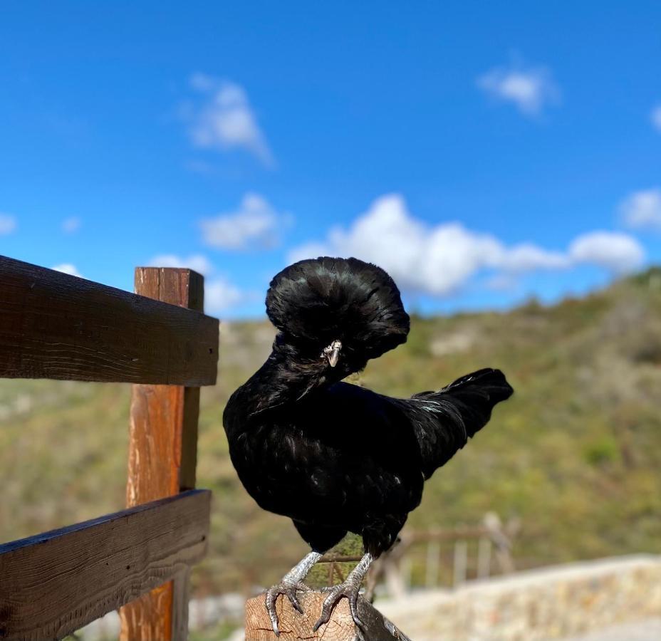 Country B&B Piani Del Mattino Potenza Dış mekan fotoğraf